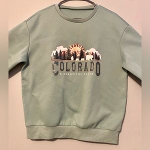 Shein mint long sleeve crewneck
